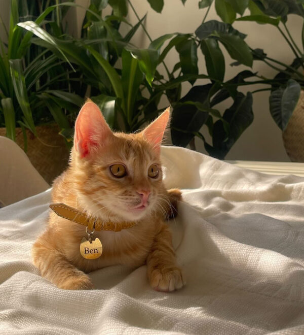 کیتی-kitty - Image 19