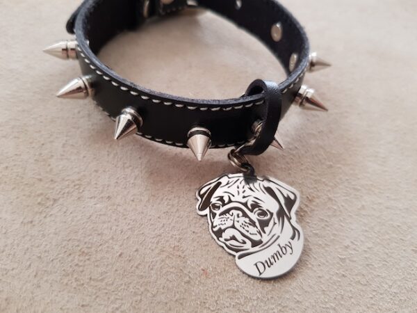 پاگ - PUG - Image 6