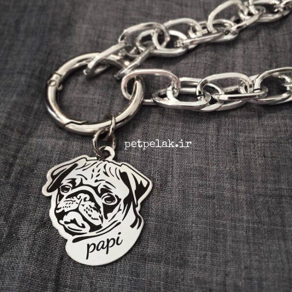 پاگ - PUG - Image 5