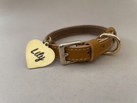 قلاده چرم دوخت دار کمربندی