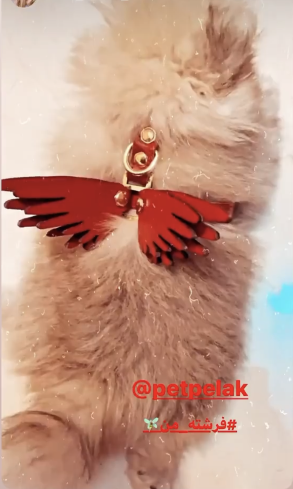 قلاده کتفی چرم طبیعی مدل فرشته - Image 4