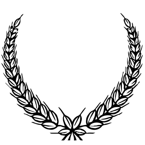 طرح حاشیه 16