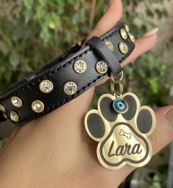 Paw - Image 7