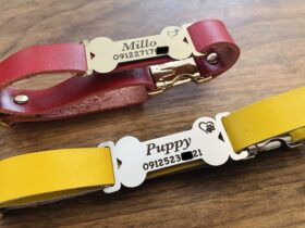 پلاک متصل استخوان با گردنی چرم قفلی