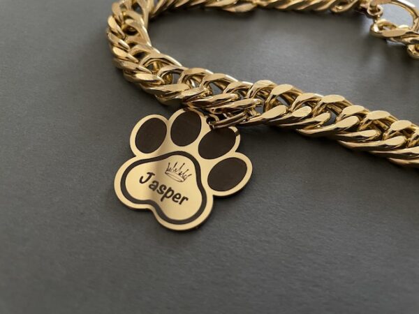 Paw - Image 8
