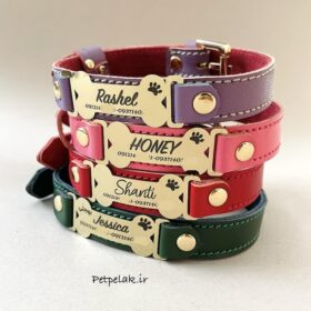 پلاک متصل استخون با گردنی چرم طبیعی دوخت دار (2cm)