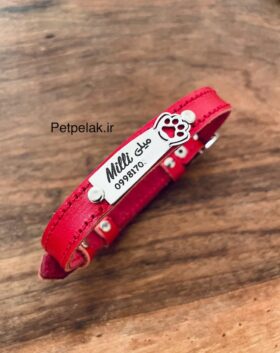 پلاک متصل پاستیل با گردنی چرم طبیعی دوخت دار (1.5cm)