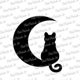 طرح گربه کد 20