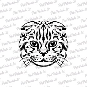 طرح گربه کد 24