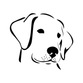 طرح سگ کد 17