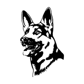 طرح سگ کد 18