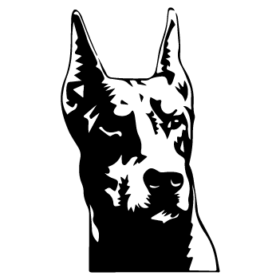 طرح سگ کد 21