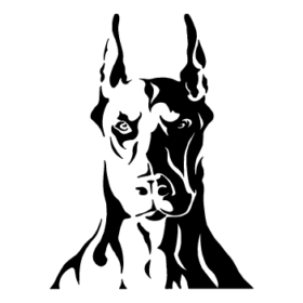 طرح سگ کد 22