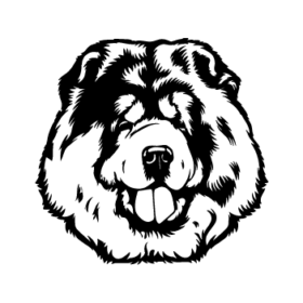 طرح سگ کد 25