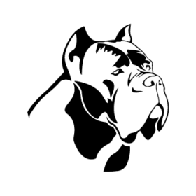 طرح سگ کد 29