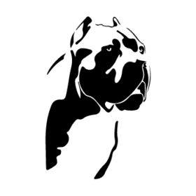 طرح سگ کد 30