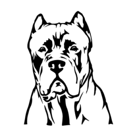 طرح سگ کد 31