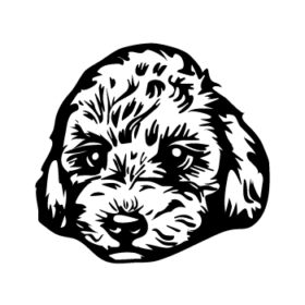 طرح سگ کد 32