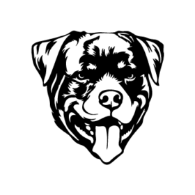 طرح سگ کد 33