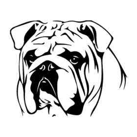 طرح سگ کد 35