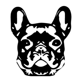 طرح سگ کد 36