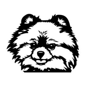 طرح سگ کد 37