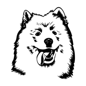 طرح سگ کد 41