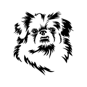 طرح سگ کد 42