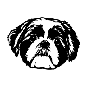 طرح سگ کد 43