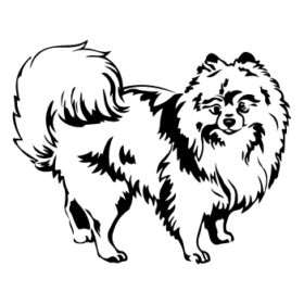 طرح سگ کد 44