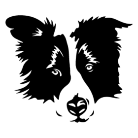 طرح سگ کد 47