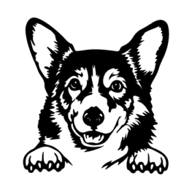 طرح سگ کد 48