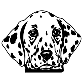 طرح سگ کد 53