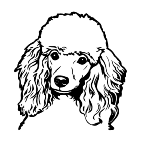 طرح سگ کد 57