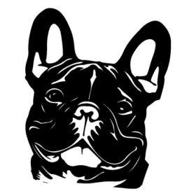 طرح سگ کد 61