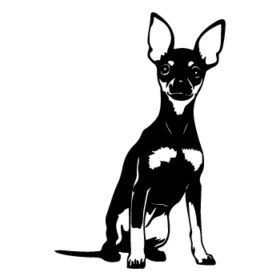 طرح سگ کد 62