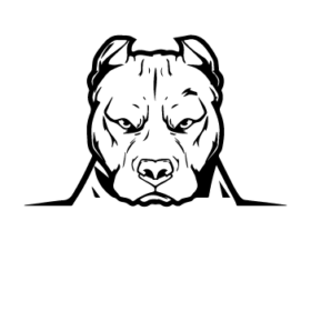 طرح سگ کد 64