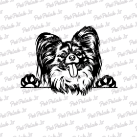 طرح سگ کد 117