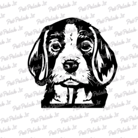 طرح سگ کد 124