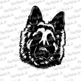 طرح سگ کد 98